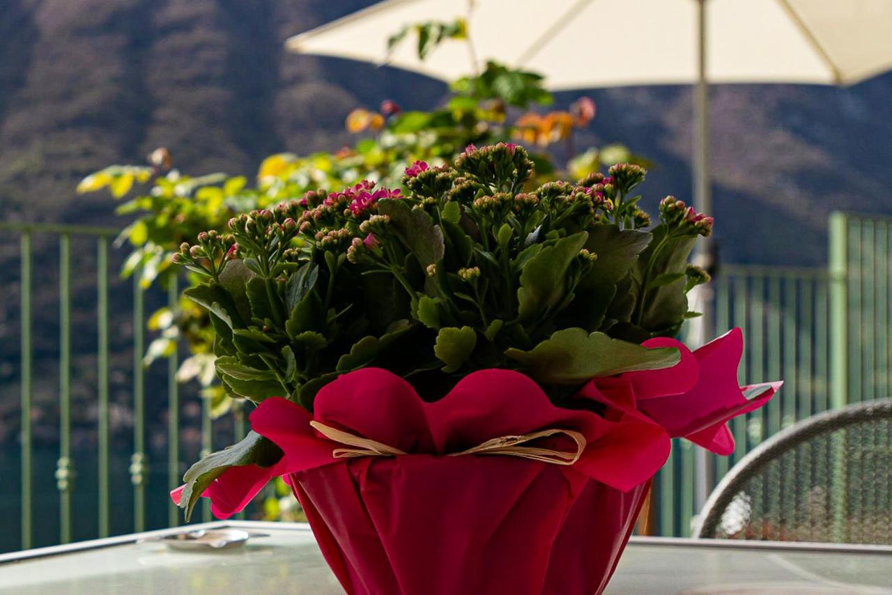 Romantic Home - Lake Como Nesso Exteriér fotografie